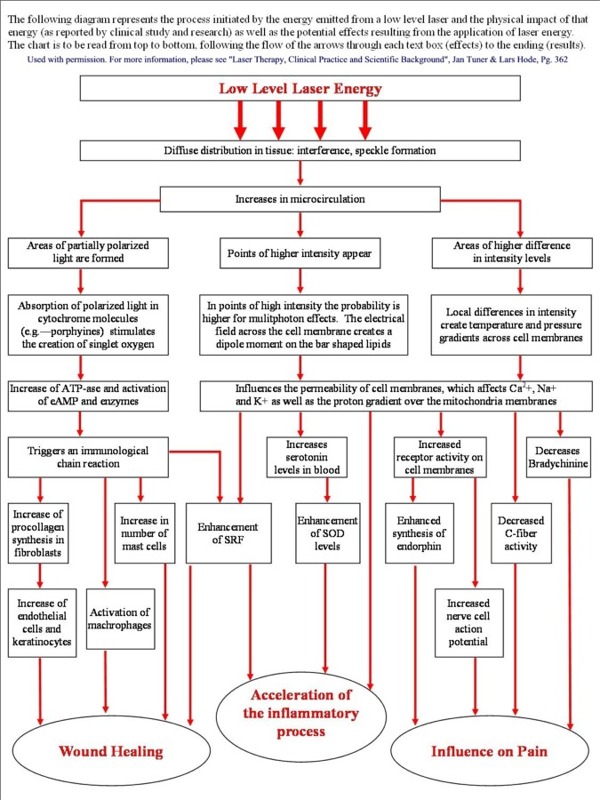 Flow chart of the mechanisms of LLLT / Laser Therapy!