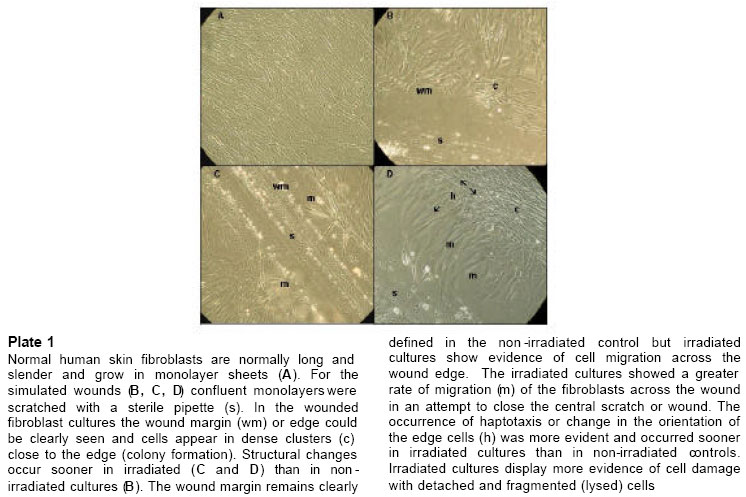 Normal vs Wounded Human Skin Fibroblasts